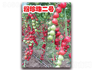 �������̖(h��o)-���ҷ��ѷN��-�ϰľG��