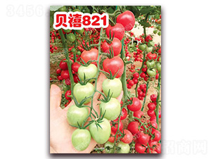 ؐ��821-���ҷ��ѷN��-�ϰľG��