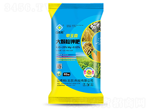 20%��������w��⛷�-�Љ�