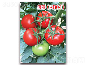 ������KB04��-��t���ѷN��-�ϰľG��