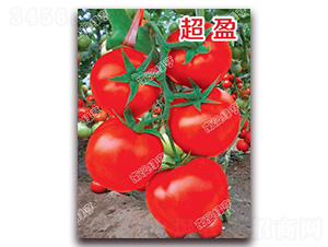 ��ӯ-��t���ѷN��-�ϰľG��