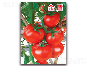 ���-��t���ѷN��-�ϰľG��