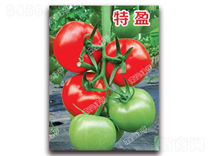 ��ӯ-��t���ѷN��-�ϰľG��