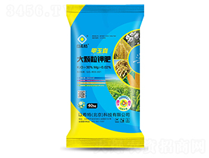 30%��������w��⛷�-�Љ�