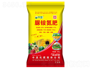 ���@����-�Љ�