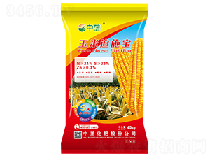 ����׷ʩ��-�Љ�