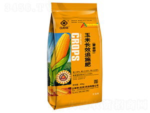 �����LЧ׷ʩ��-�Љ�