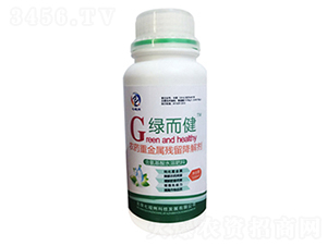 �rˎ�ؽ��ٚ������℩-�G���I-�߿���