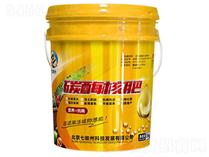 ̼ø�˷�-�߿���