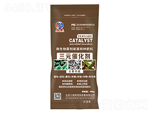 ��Ԫ�߻���-�߿���