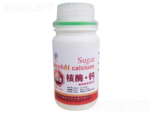 ��ø���}-�߿���