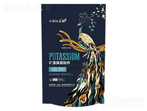 �VԴ�S�����-�߲ʿ�ȸ-��(r��n)�R��