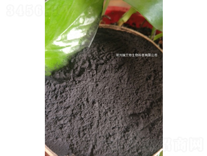 ��ֲ���cԭ��-����