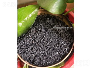 ��ֲ���c�w��-����