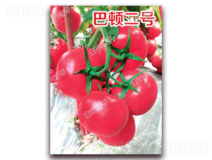 ���D��̖(h��o)-�۹����ѷN��-�ϰľG��