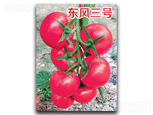 �|�L(f��ng)��̖(h��o)-�۹����ѷN��-�ϰľG��