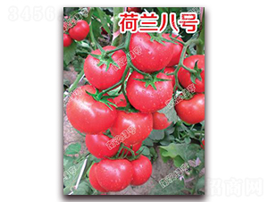 ���m��̖(h��o)-�۹����ѷN��-�ϰľG��