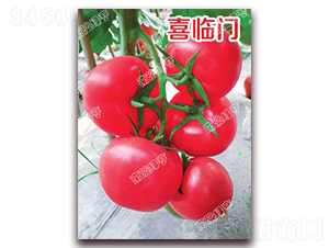 ϲ�R�T-�۹����ѷN��-�ϰľG��