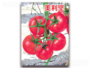 ������(ji��n)-�۹����ѷN��-�ϰľG��