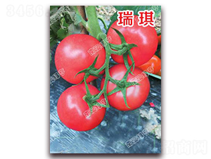 ����-�۹����ѷN��-�ϰľG��