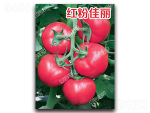 �t�ۼ���-�۹����ѷN��-�ϰľG��