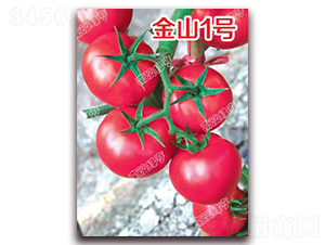 ��ɽ1̖(h��o)-�۹����ѷN��-�ϰľG��