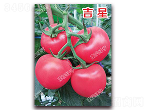 ����-�۹����ѷN��-�ϰľG��