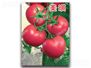 ����-�۹����ѷN��-�ϰľG��