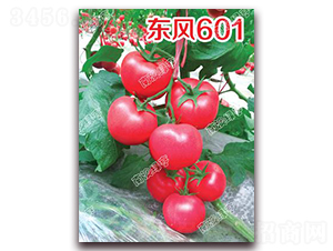 �|�L(f��ng)601-�۹����ѷN��-�ϰľG��