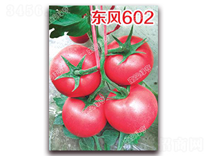 �|�L(f��ng)602-�۹����ѷN��-�ϰľG��