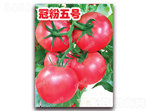 �ڷ���̖(h��o)-�۹����ѷN��-�ϰľG��