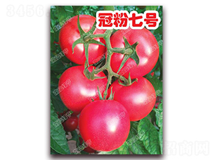 �ڷ���̖(h��o)-�۹����ѷN��-�ϰľG��