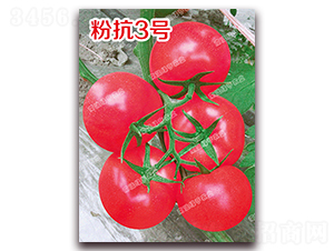 �ۿ�3̖(h��o)-�۹����ѷN��-�ϰľG��