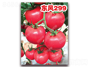 �|�L(f��ng)299-�۹����ѷN��-�ϰľG��