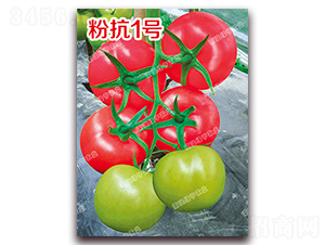 �ۿ�1̖(h��o)-�۹����ѷN��-�ϰľG��