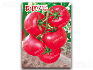 �ۿ�7̖(h��o)-�۹����ѷN��-�ϰľG��