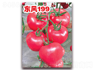 �|�L(f��ng)199-�۹����ѷN��-�ϰľG��