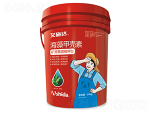 ����ך���-��ʩ�_