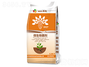 ΢�������-���տ�