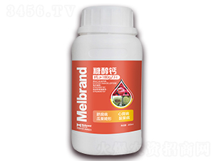 200ml�Ǵ��}-���괺