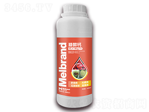 1000ml�Ǵ��}-���괺