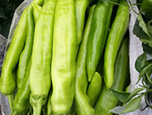 �⽷�N��-�̝��N��