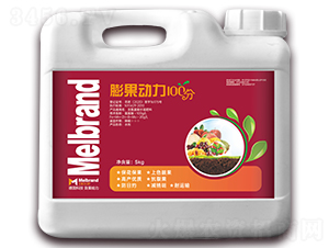 5kg�������100��-���괺