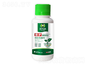 ΢�������-���o(h��)-�����