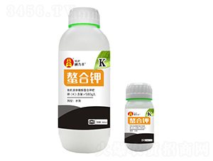 ����⛷�-�T���S����