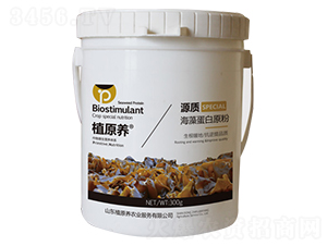 ���嵰��ԭ��-Դ�|(zh��)-ֲԭ�B(y��ng)�r(n��ng)�I(y��)