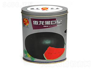 �����ھ���-���ϷN��-����