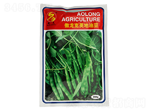 �������v���Ͷ�-�Ͷ��N��-����