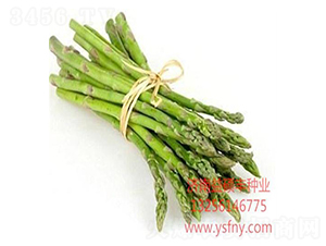 ���Z˹(ENOS)-�J�S�N��-��T�S�r(n��ng)�I(y��)