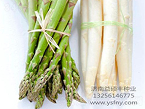 ����ķ-�J�S�N��-��T�S�r(n��ng)�I(y��)